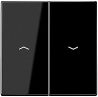 Лицевая панель Jung LS990 для 2-кл. выключателя жалюзи черный картинка